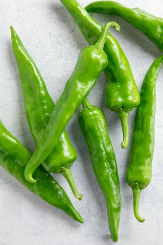 Hatch sandia chili pepper - hatch,